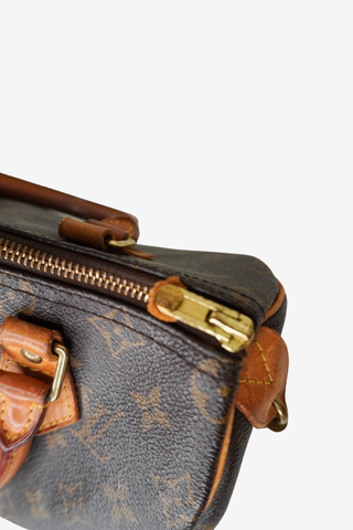 Louis Vuitton Speedy 25