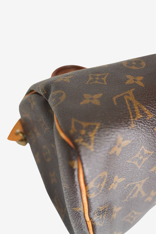 Louis Vuitton Speedy 25