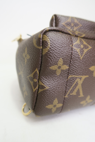 Louis Vuitton Palm Springs Mini Backpack