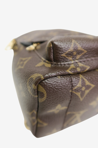 Louis Vuitton Palm Springs Mini Backpack
