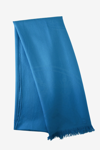 Hermès Cashmere Scarf - Designer scarf at The Find Luxury Resale - Vancouver, Canada