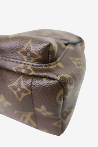 Louis Vuitton Palm Springs Mini Backpack