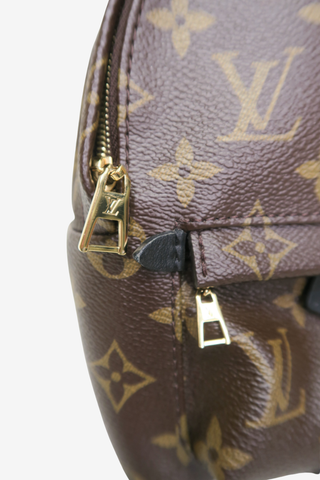Louis Vuitton Palm Springs Mini Backpack