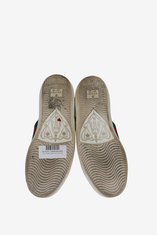 Gucci Web Scent Leather Sneakers sz 35.5