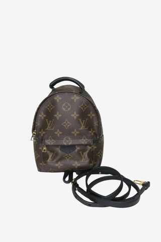 Louis Vuitton Palm Springs Mini Backpack