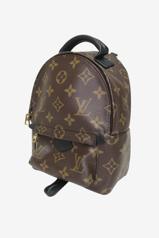 Louis Vuitton Palm Springs Mini Backpack