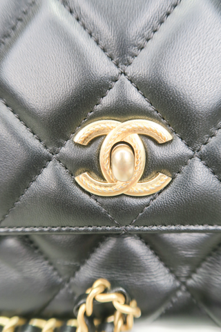 Chanel Quilted Top Handle Bag - Designer Handbags at The Find Luxury Resale - Vancouver, Canada