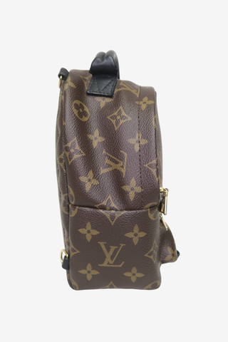 Louis Vuitton Palm Springs Mini Backpack