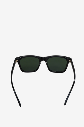 Tom Ford Wayfarer Sunglasses