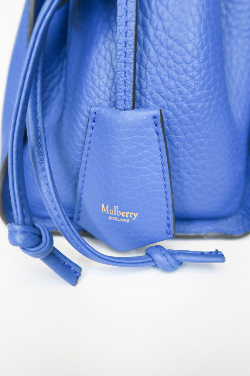 Mulberry Small Iris Tote