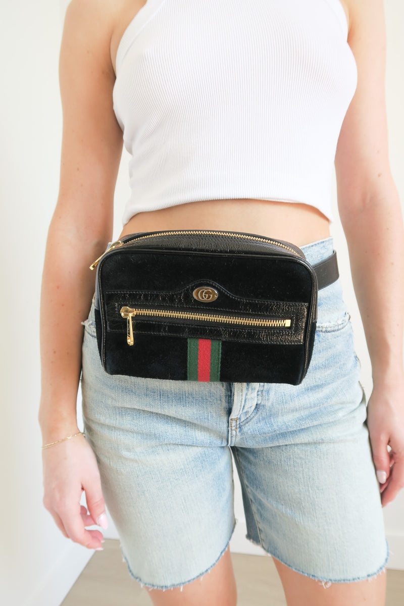 Gucci Small Suede Ophidia Web Waist Belt