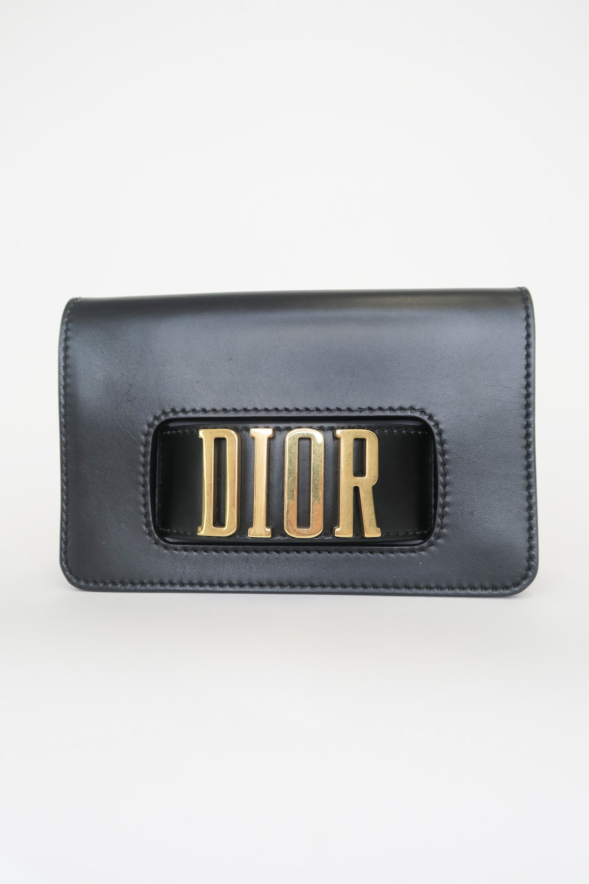 Dio(r)evolution Leather Clutch