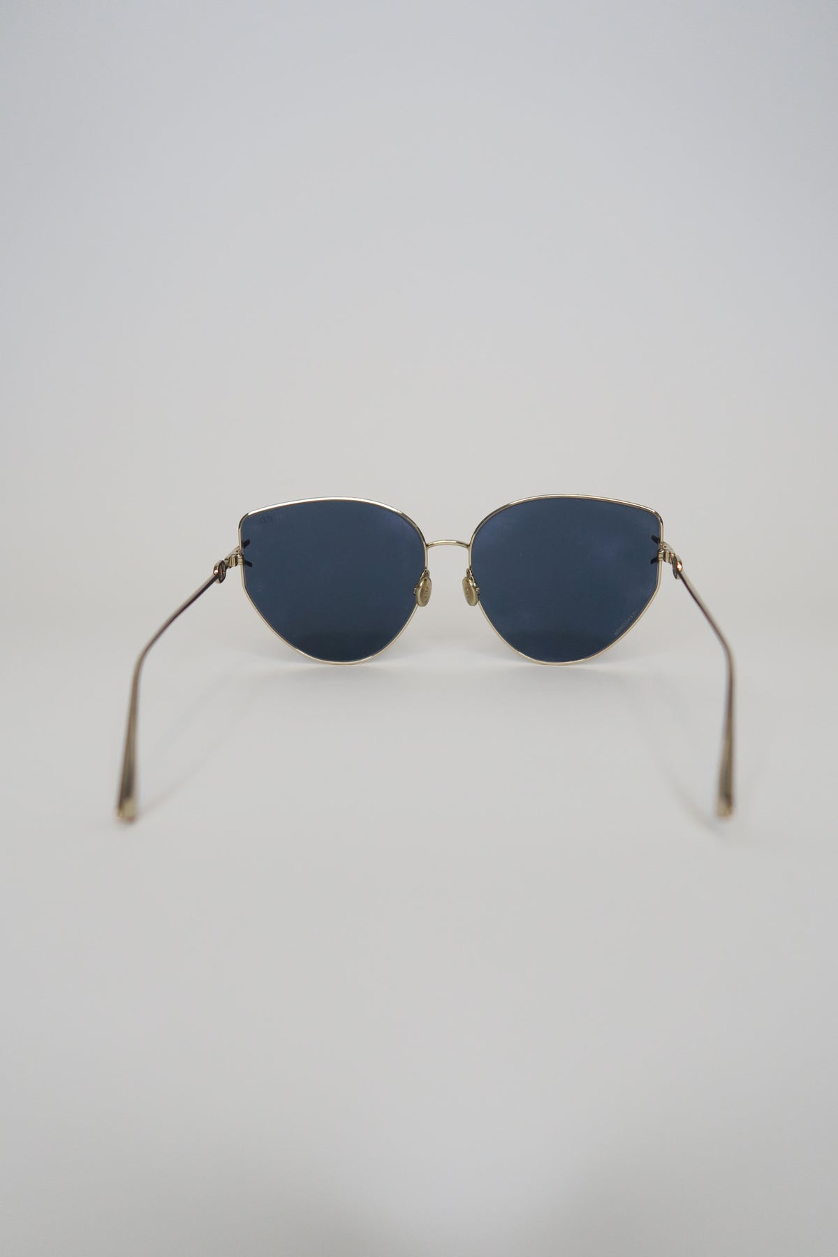 Christian Dior Oversized Sunglasses