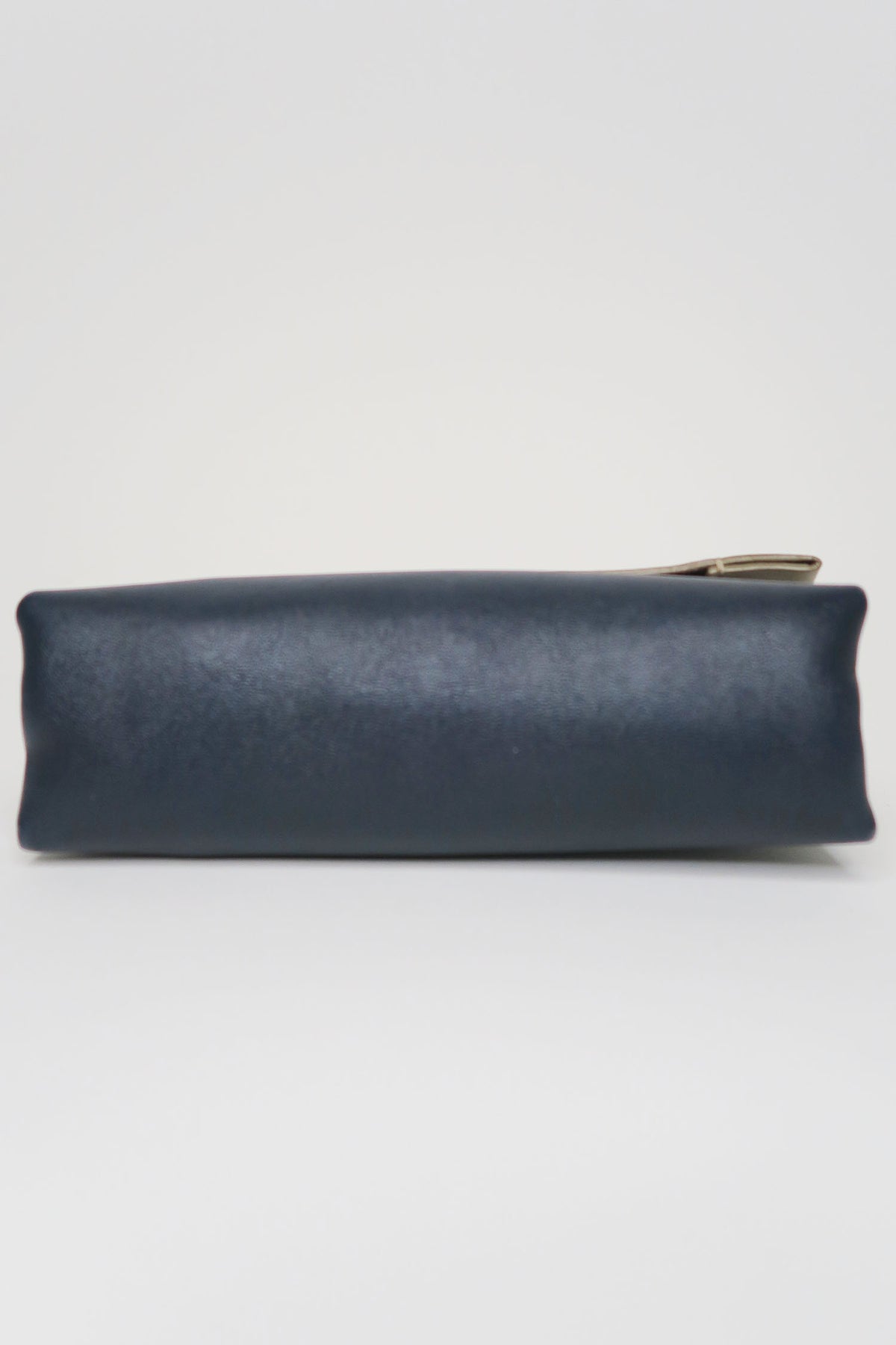 Celine Bicolour Pouch