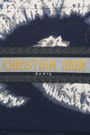 Christian Dior 2020 Vertical Book Tote