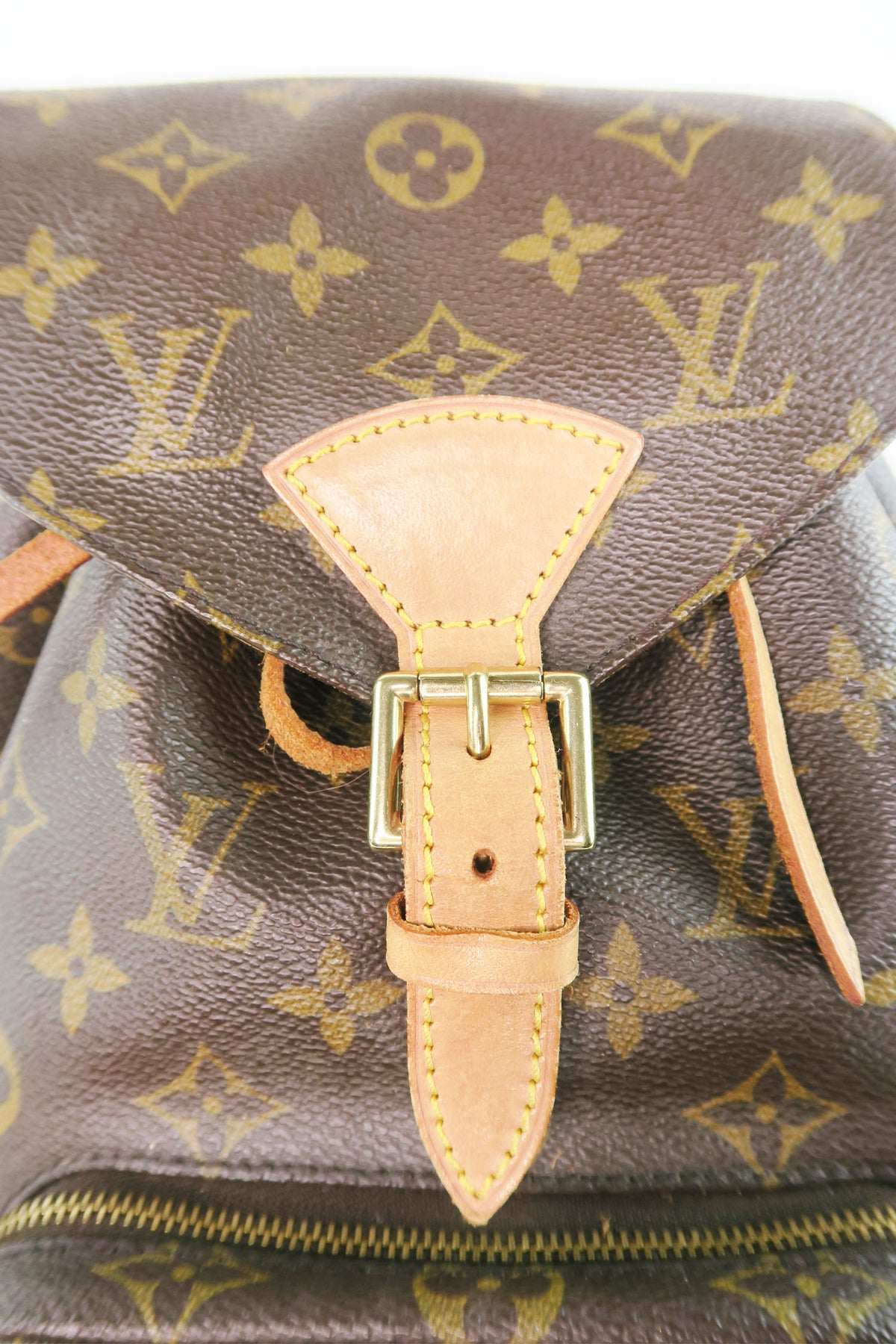 Louis Vuitton Monogram Montsouris PM Backpack