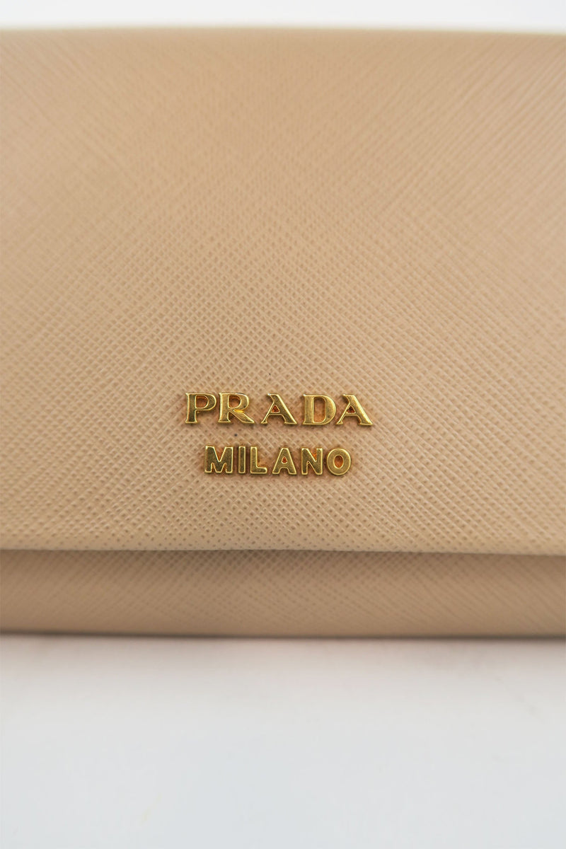 Prada Saffiano Leather Clutch & Chain